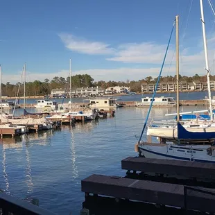 View from the back terrace over lake Conroe