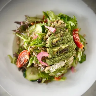 a closeup of a plate of food