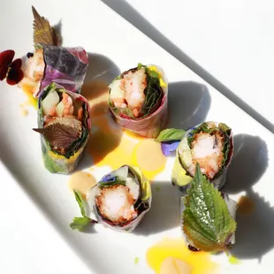 Coconut Shrimp Summer Rolls