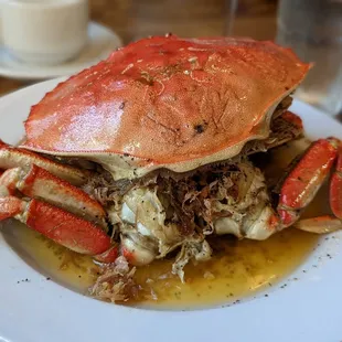 a crab on a white plate