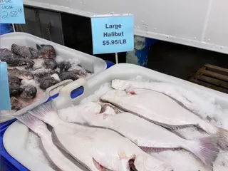 J DeLuca Fish Company