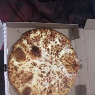 Cheese Pizza