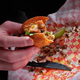 a person holding a sandwich