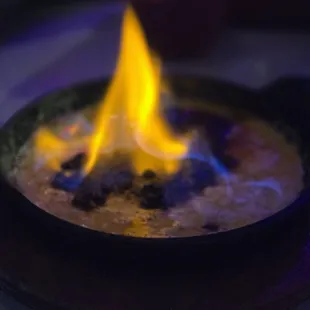 mussels, shellfish, oysters, food, oysters and mussels