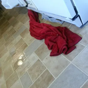 Water all over the floor! Not only did he make it worse but now I have to worry about DAMAGE to my floor!