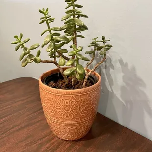 Table decor