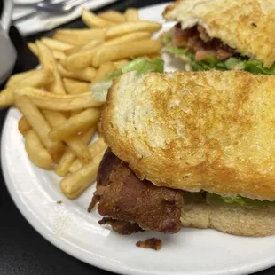 a sandwich and french fries