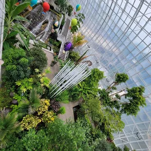 The gardens