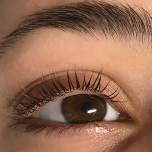 Lash Lift