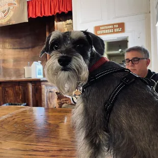 Crystal Palace Saloon - Dogs Allowed