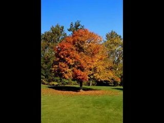 St. Albans Golf Club