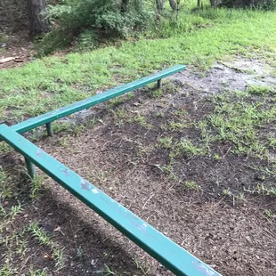 Balance beam at edge of wood trail