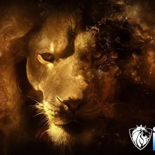 CS Design Studios Branding