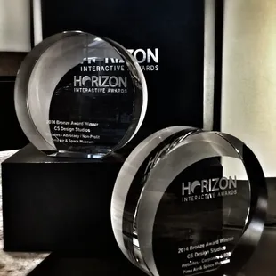 Horizon Interactive Award Winner