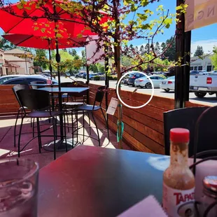 Little sparrow kept checking if I'd toss it some food. Please don't feed wildlife. It isn't good for them. 4/2024