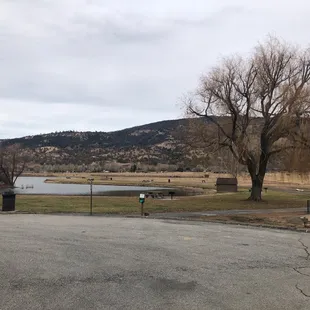 Fenced area in the picture is the dog park