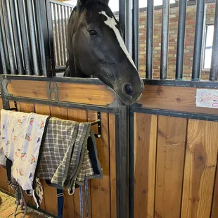 "Olive" Not Ignoring us. Its time for Dinner! Yea!