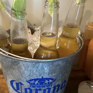 Coronita fria