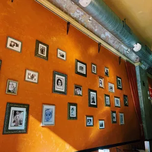 a wall of framed photographs