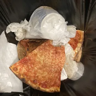 Where this pizza belongs! It&apos;s so bad the birds wouldn&apos;t eat it.