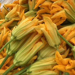 Fiori di Zucchine