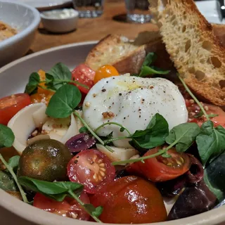 burrata