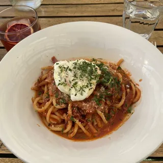 bucatini amatriciana