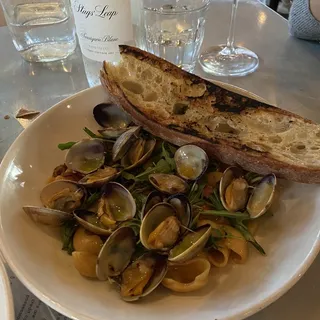 clam calabrese salumi orecchiette