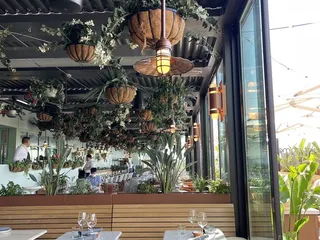 Terra at Eataly Silicon Valley