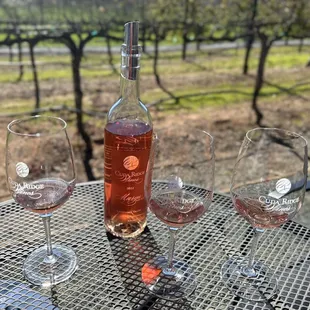 Cuda Ridge Wines