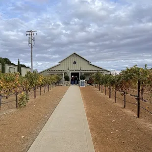 The pathway to the building where the tastings are