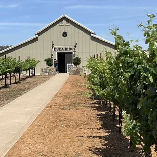 Winery