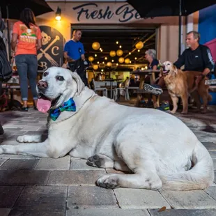 Pups are welcome on the patio