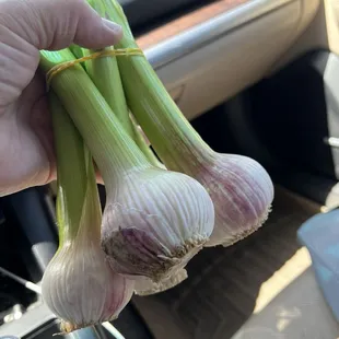 Young garlic $3