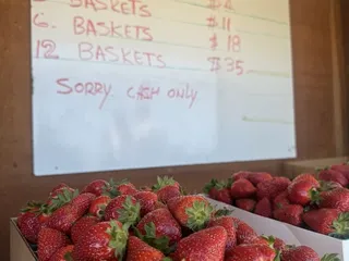 The Strawberry Patch