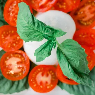 Caprese Salad with imported Bufala Mozerella Cheese.