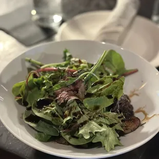 Wild Mushroom Tartine