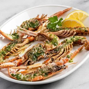 Wild Langoustine (Norway Lobster)