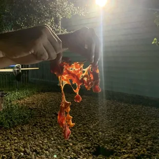 a hand holding a piece of pizza
