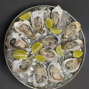 food, shellfish, oysters, oysters and mussels, mussels