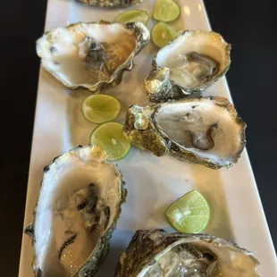 Oysters