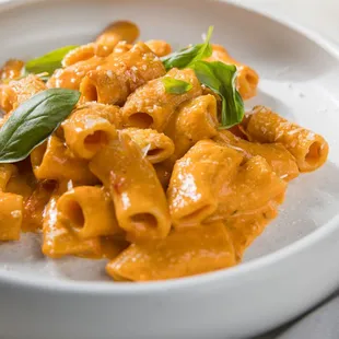 food, pasta, pasta dish