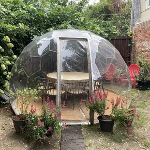 How adorable is this dome