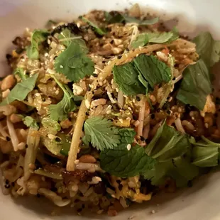 Peking Duck &amp; Shrimp Fried Rice