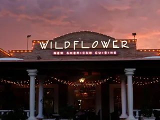 Wildflower
