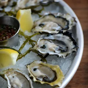 food, oysters, mussels, shellfish, oysters and mussels