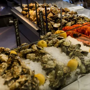 shellfish, food, mussels, oysters and mussels, oysters
