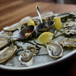 food, mussels, oysters, oysters and mussels, shellfish