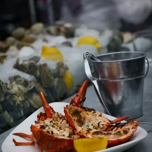 oysters and mussels, food, shellfish, mussels, oysters
