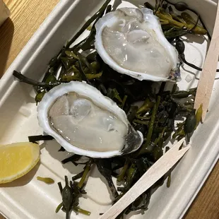 West Coast Oysters